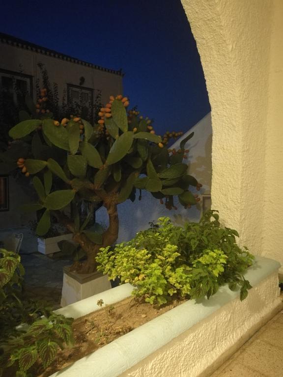 Villa Metaxa Spetses Town Exterior photo